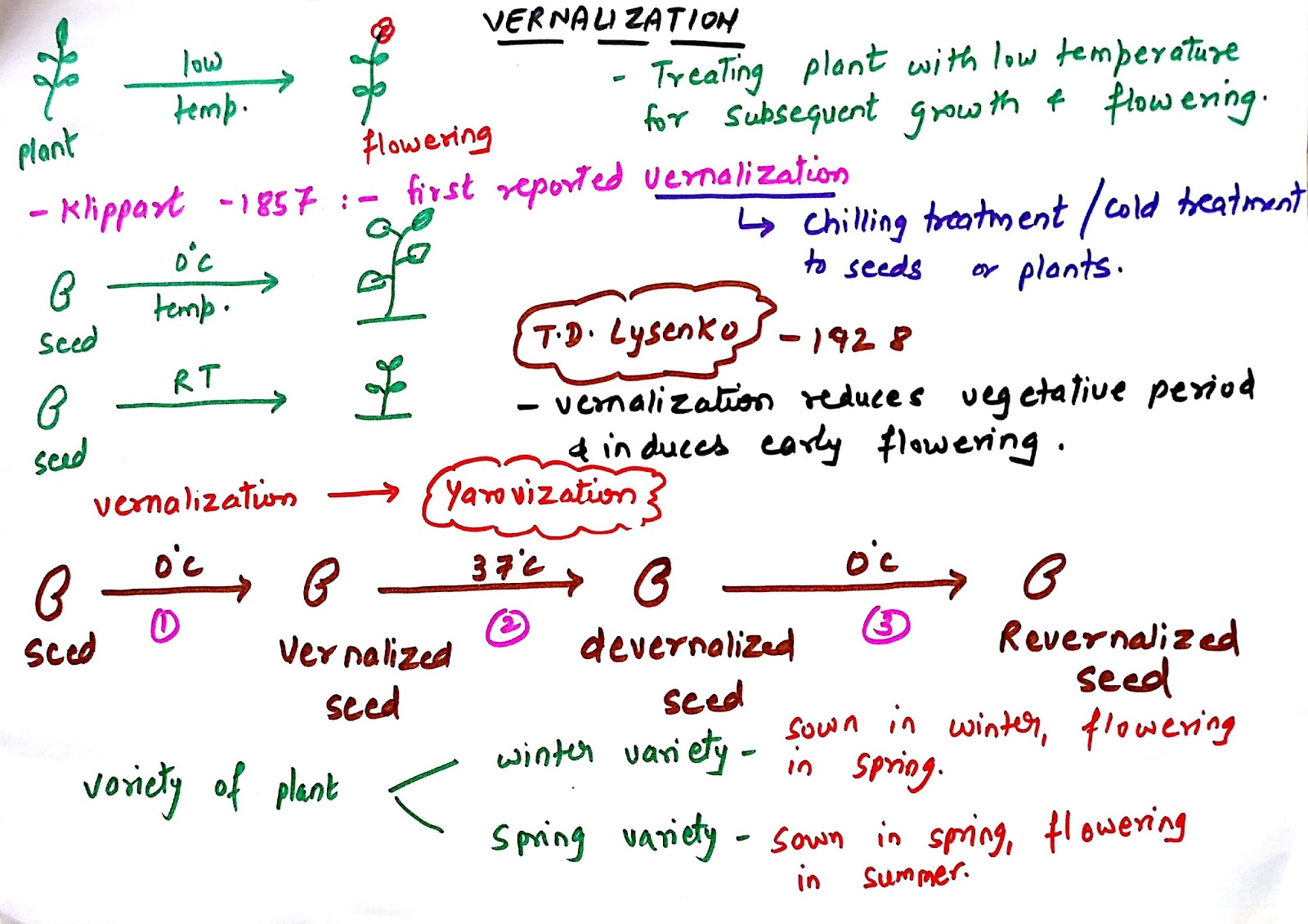 PROF. SUNIL KUMAR'S ADDABIOLOGY VERNALIZATION