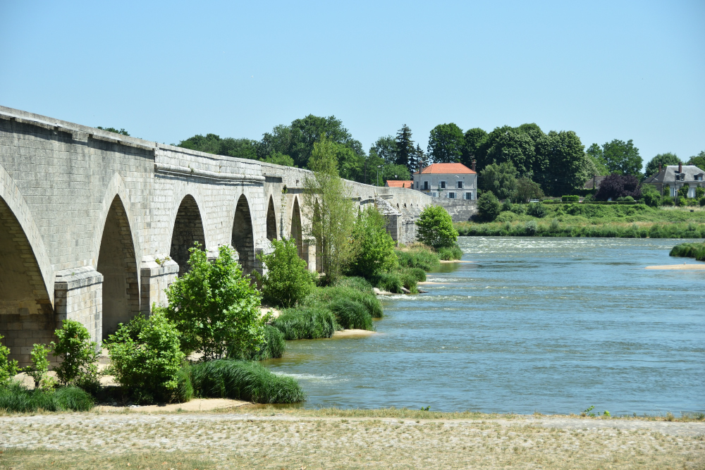 We didn't come here for the grass... Chateau de Beaugency