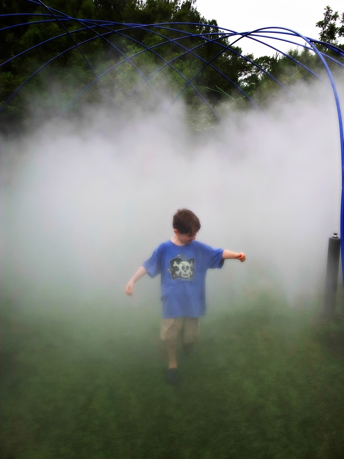 In the Mist at The Museum of Life and Science in Durham, NC Hines
