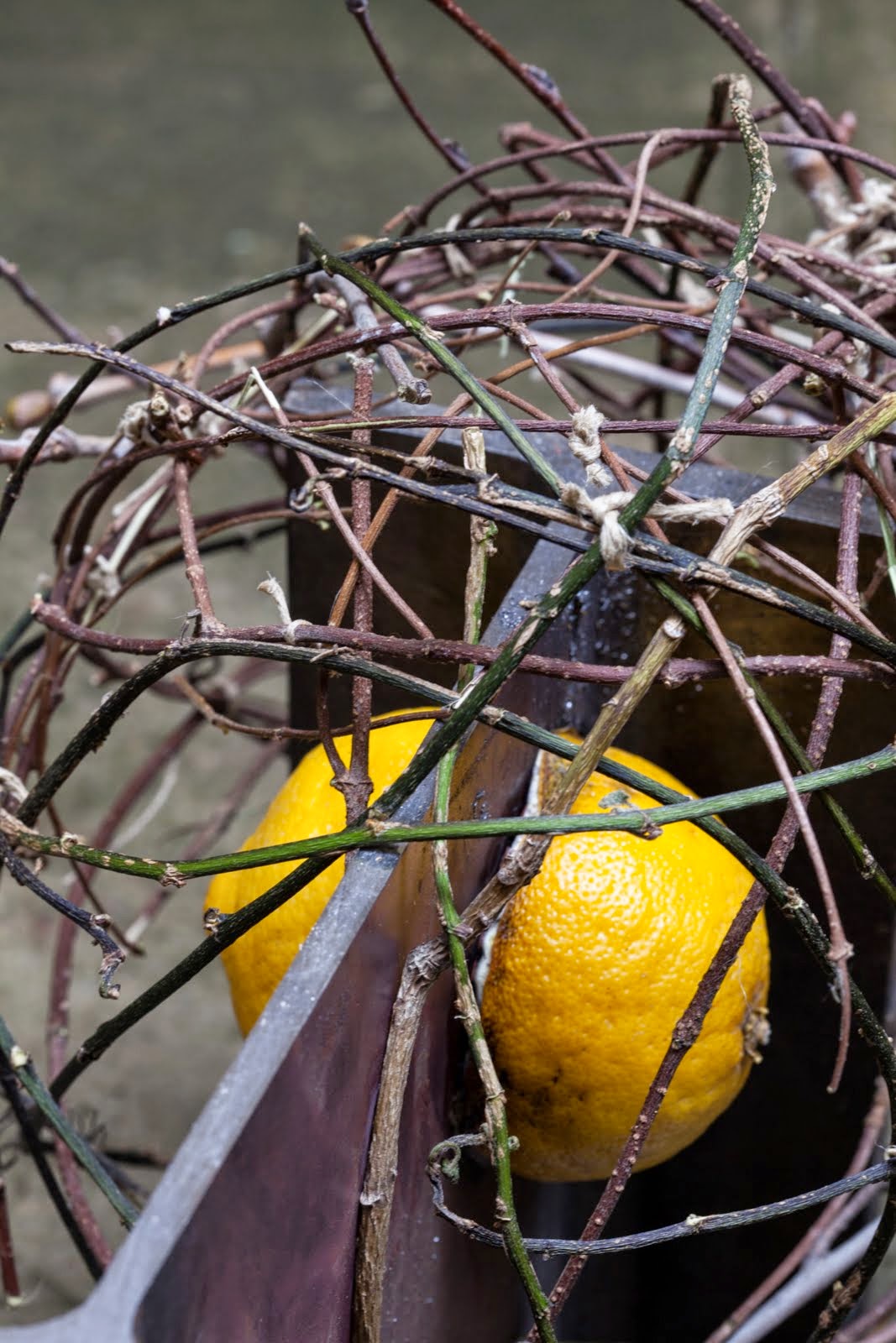 sticks, steel, and a lemon