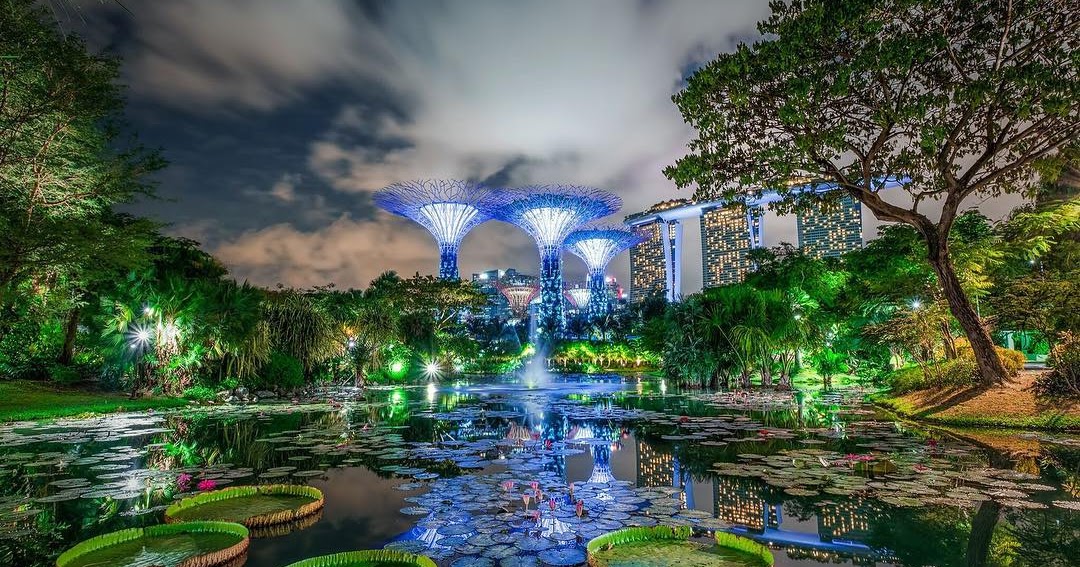 Jardines de la Bahía, Singapur: un oasis tecnológico / Gardens By The Bay