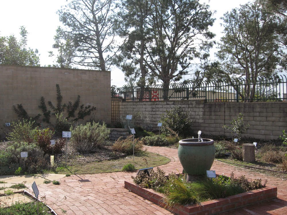 Mother Nature's Backyard - A Water-wise Garden: Seasons in a Southern