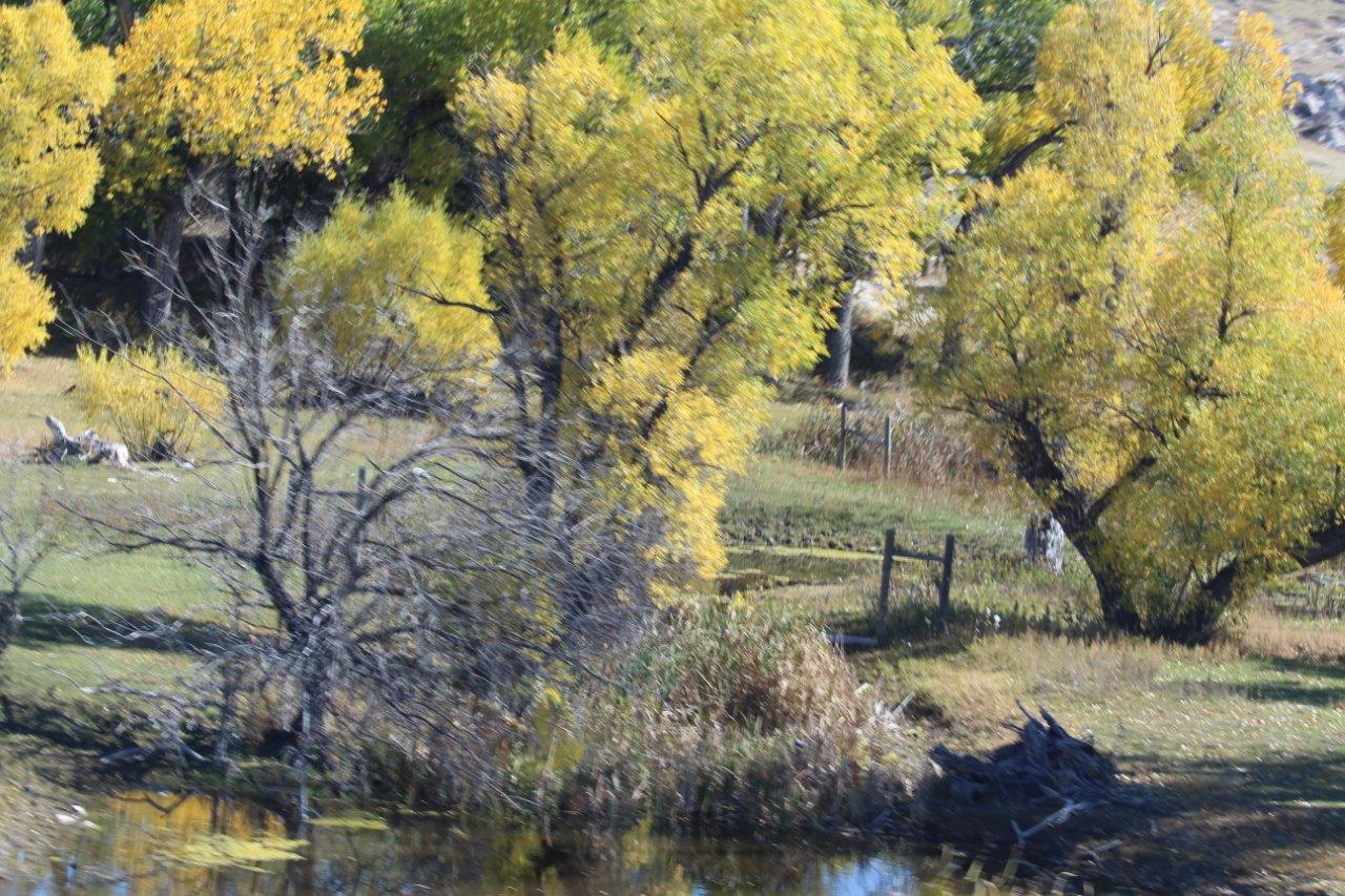 Sarah Lynn's Nature's Splendor Photos Torrington, Wyoming, to Chadron