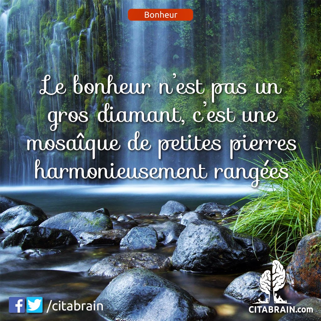 Un Diamant Un Diamant Citation