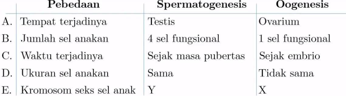 Perbedaan spermatogenesis dan oogenesis dalam bentuk tabel