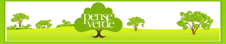 Blog Pense Verde - Sustentabilidade, Arte e Reciclagem