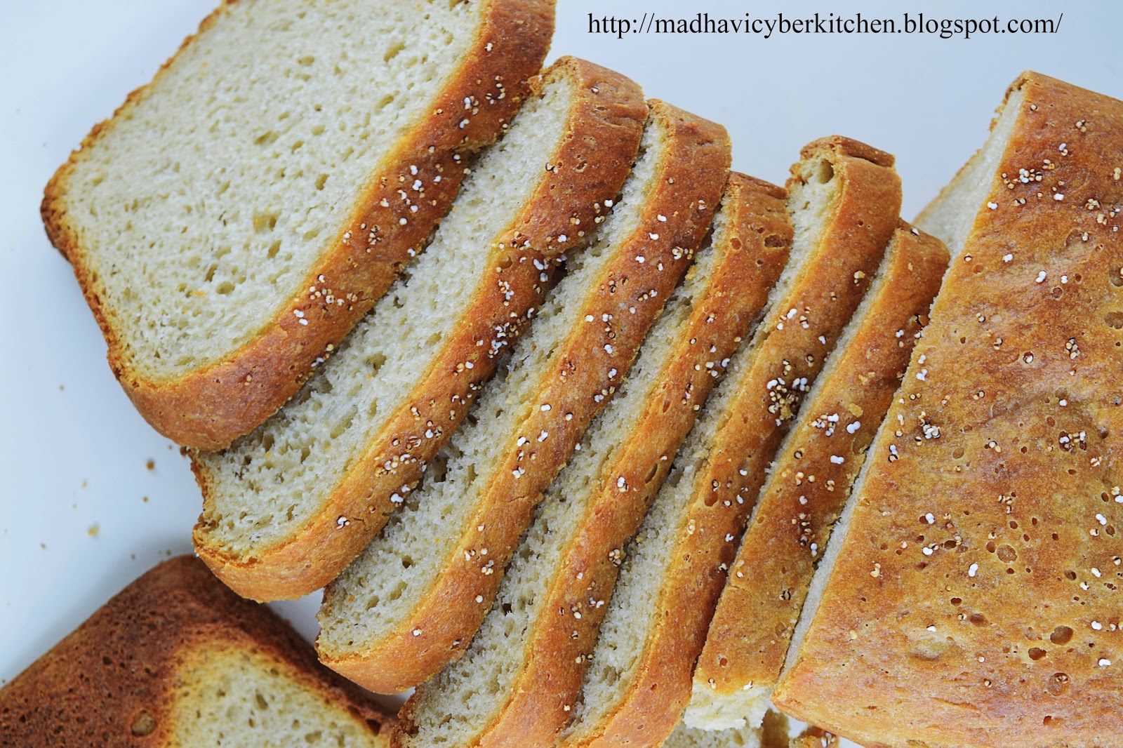 Madhavi's Cyber Kitchen Amaranth Flour Bread