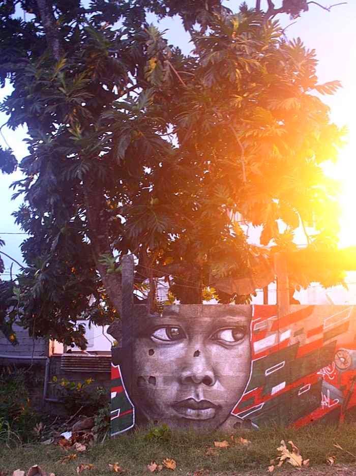 Уличный художник. Nuxuno Xan (street art)