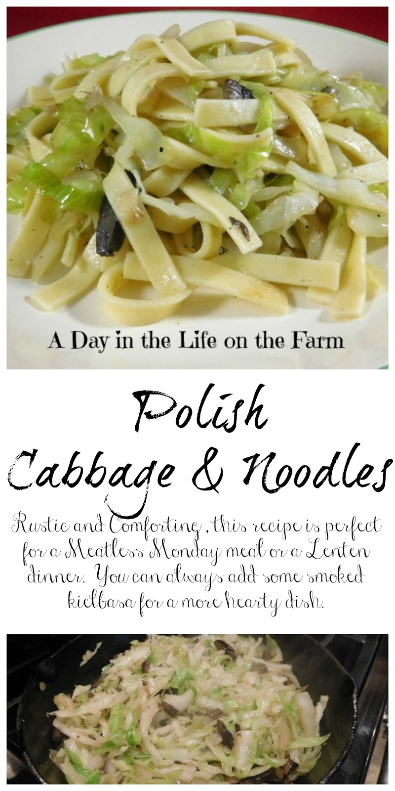 A Day in the Life on the Farm Polish Noodles and Cabbage CookbookMonth
