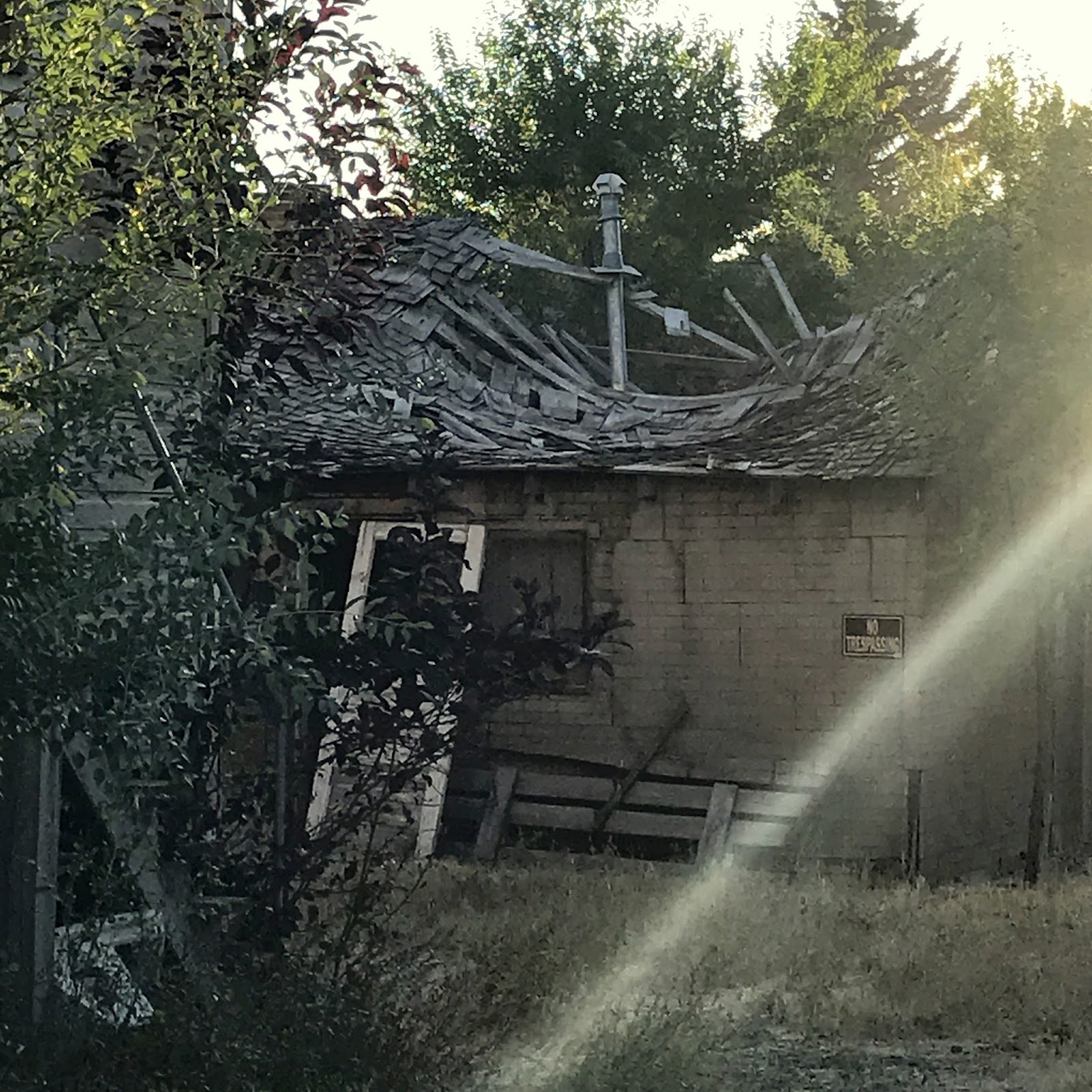 danger garden Our future estate, in Burns Oregon...