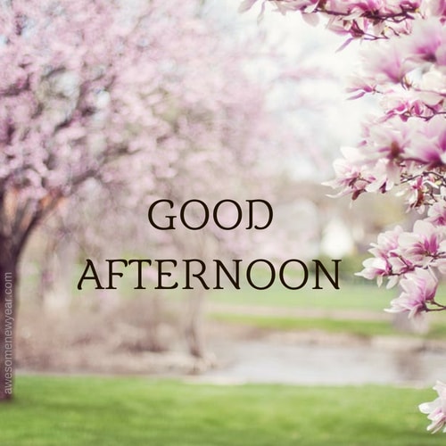 Good Afternoon Images Photos And Pictures Download Beauteous Gud Afternoon Image Download Good Afternoon Images Photos And Pictures Download Beauteous Gud Afternoon Image Download