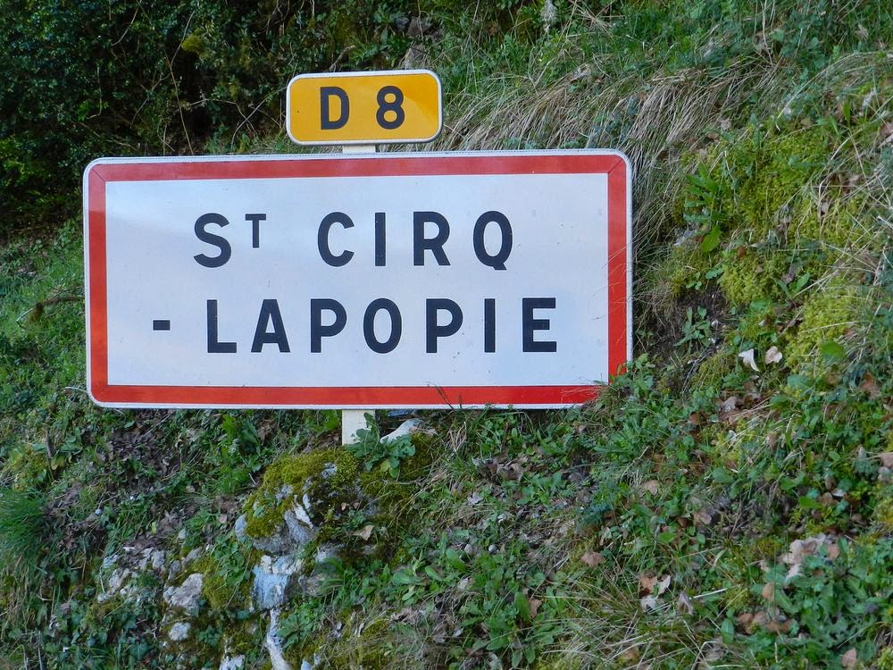 L'arbre aux questions Saint CirqLapopie