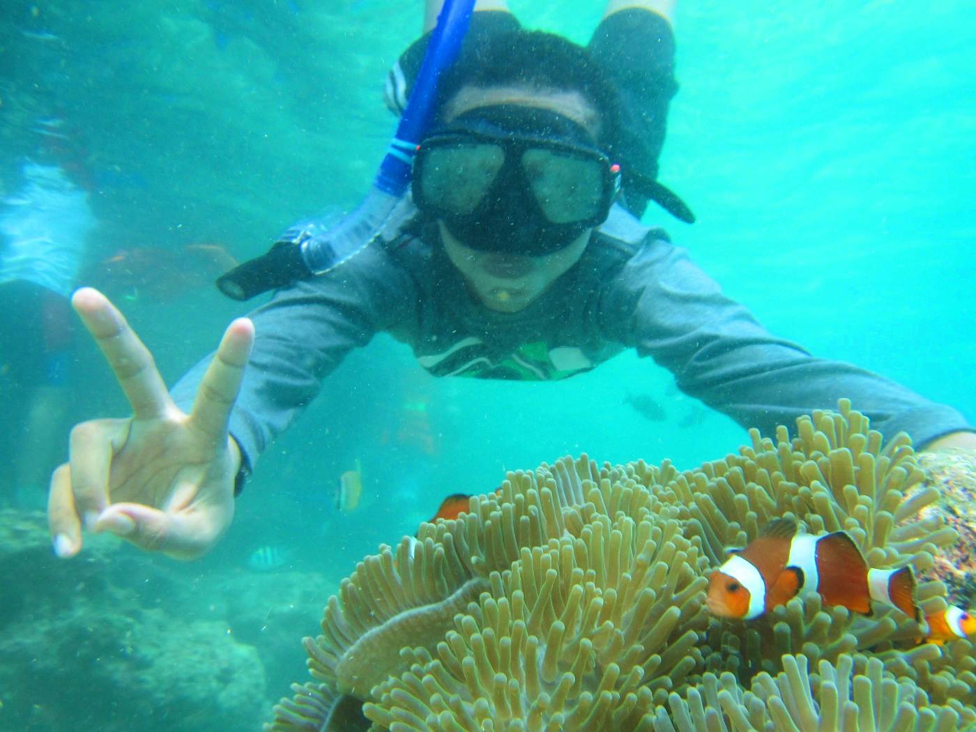 Indahnya Taman Bawah Laut Di Pulau Rubiah Medan Wisata Travel Blogger Indonesia From Medan