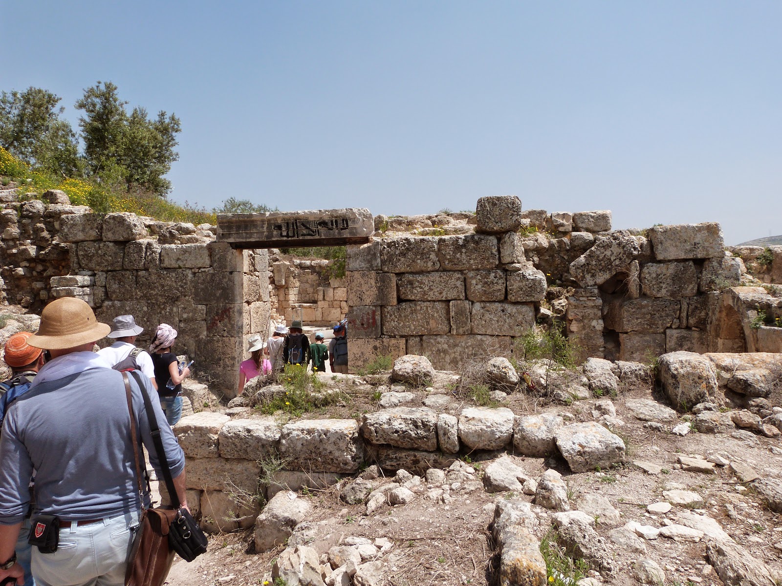 экскурсовод в Израиле, отдых в Израиле