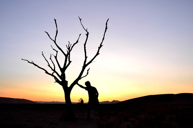 Silhouette of tree and man in Sossusvlei 