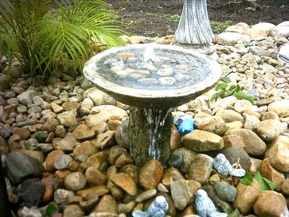 Amazing Backyard Water Features for Birds