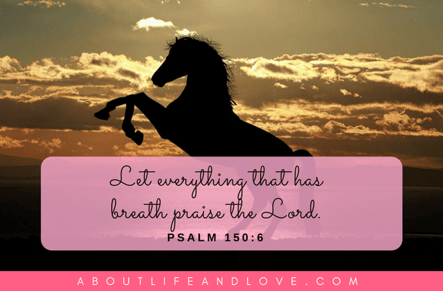 Let Everything That Has Breath Praise The Lord