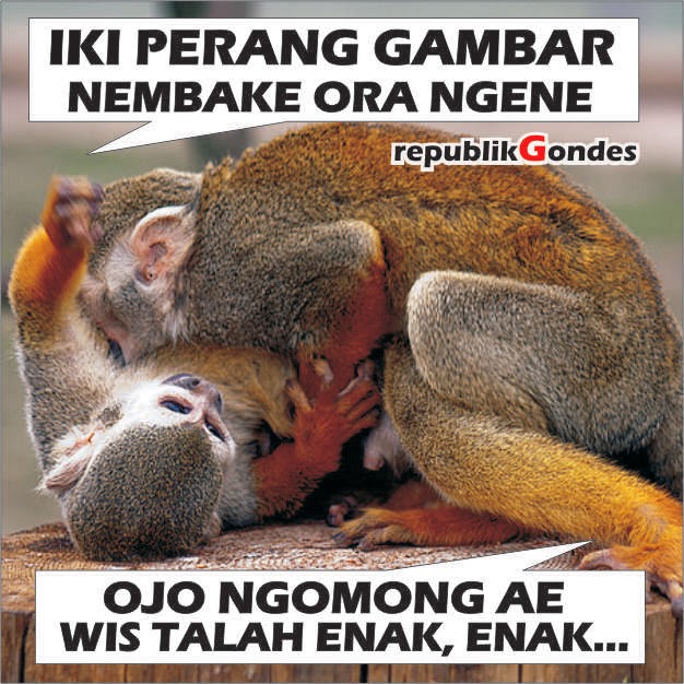 Komen Fb Lucu Bergambar Bahasa Jawa Cerita Humor Kocak Gambar