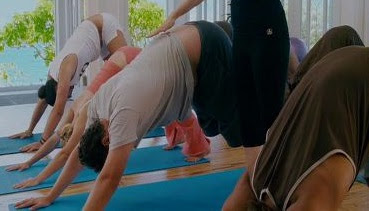 jason segel yoga marshall perro hacia abajo paso de ti downward facing dog asana pose postura