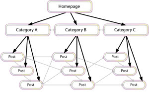 Directory tree structure.