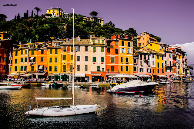 La Toscana - Rinascita - Blogs de Italia - Portofino y la costa de Liguria bien merecen una parada (3)