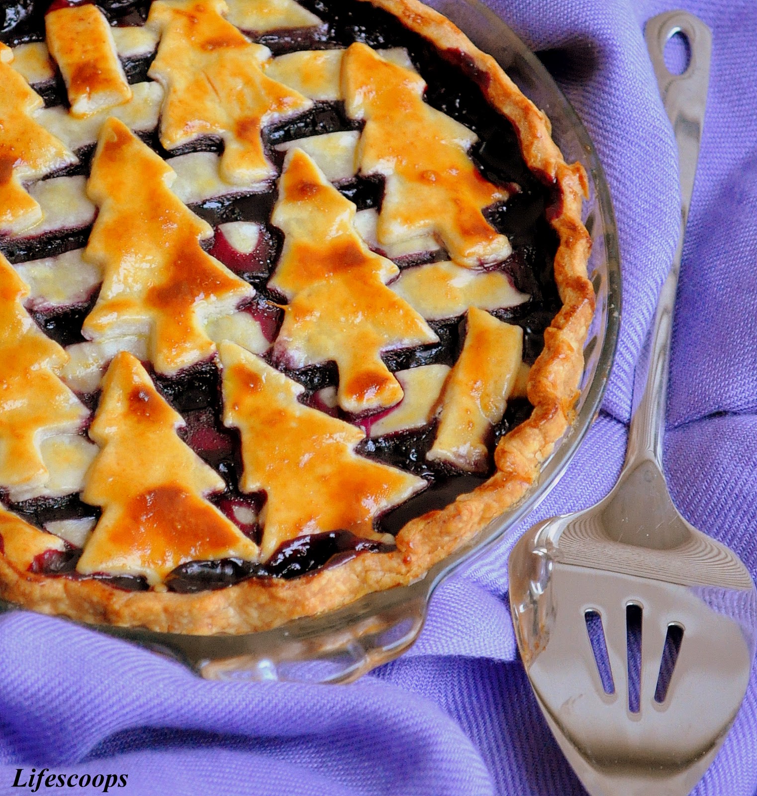 Life Scoops Blueberry Pie