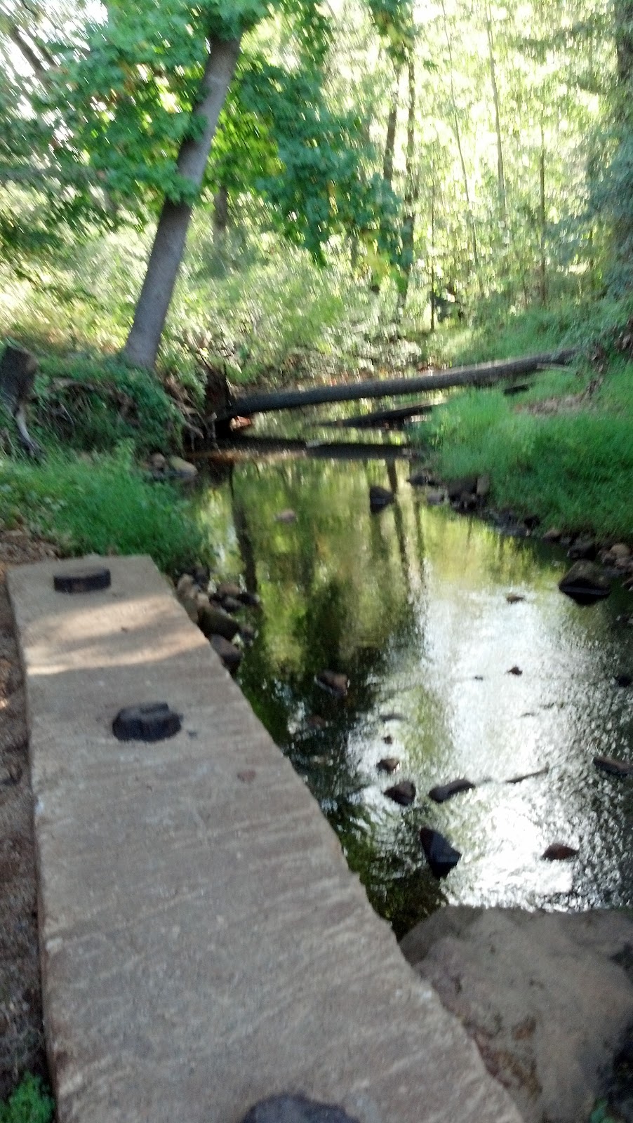 The NotSo Stay At Home Mommy Yates Mill Pond Very Scenic