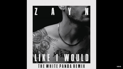 ZAYN - LIKE I WOULD ( The White Panda Remix )