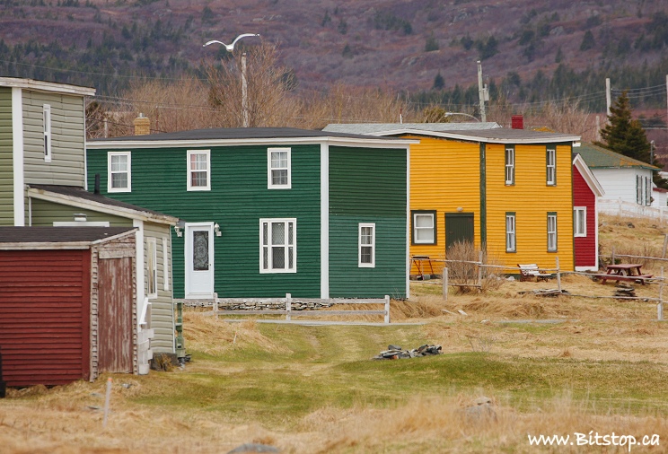 Bitstop Broad Cove & Blackhead, Conception Bay North