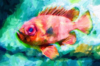 popeye catalufa soldierfish