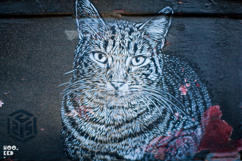 C215 - London Street Art Clowder of Cats