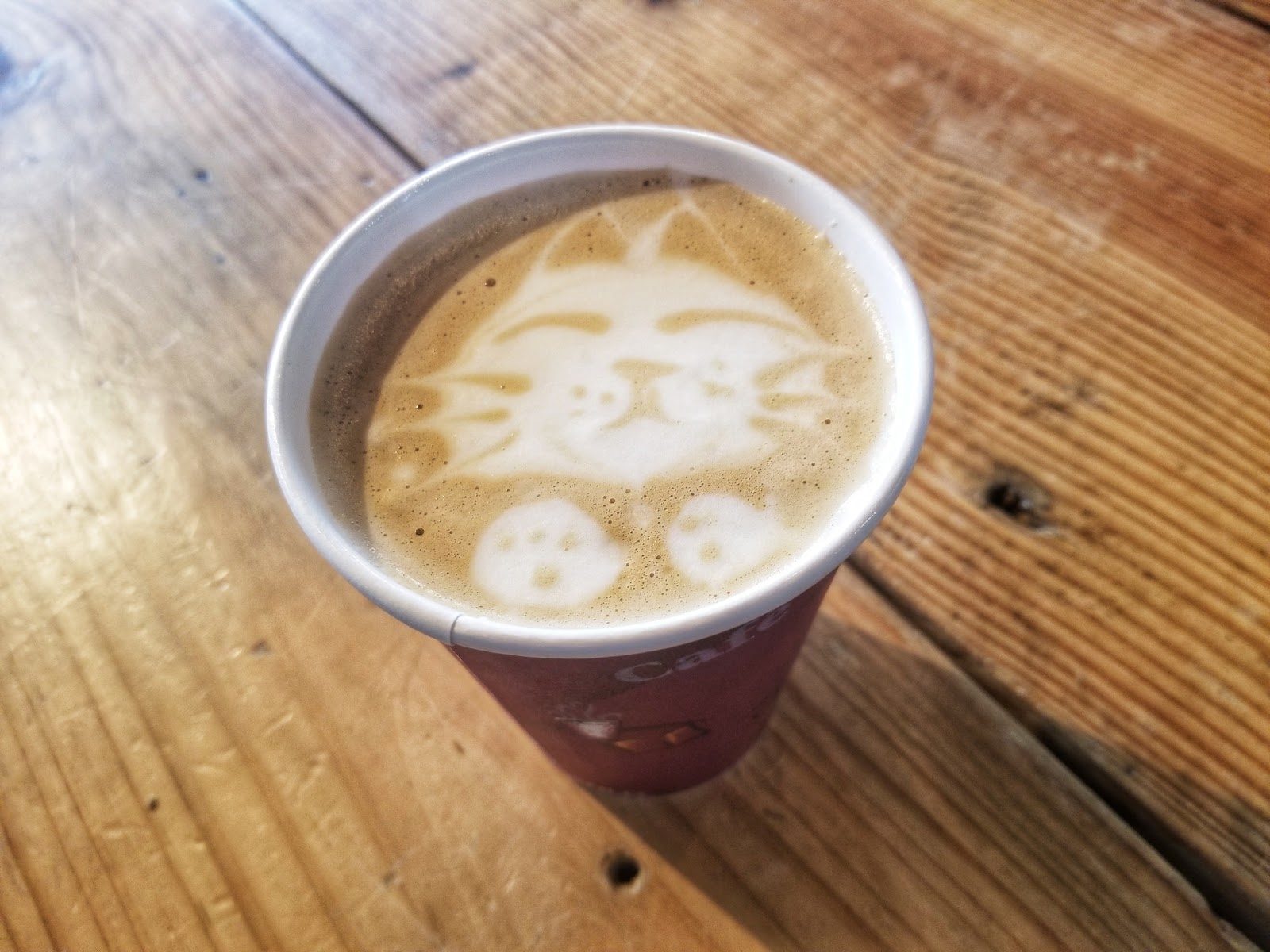 Our First Exciting Experience at Java Cats Cafe Atlanta