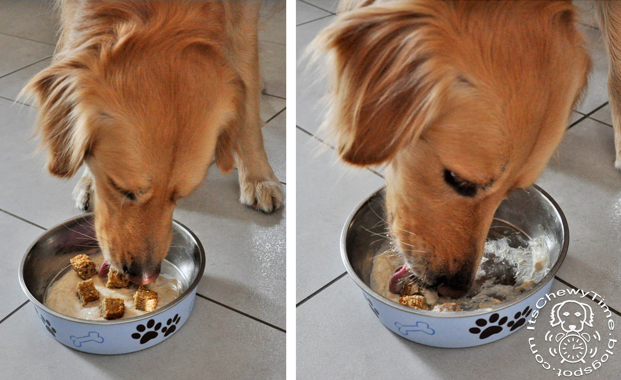 It's Chewy Time! Tasty Tuesday Baked Oatmeal for Dogs