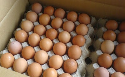 9 Cara Memilih Telur Ayam Negeri Yang Baik