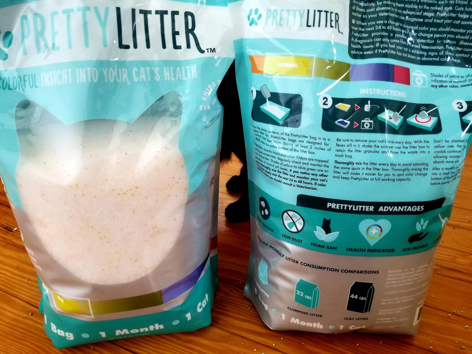 Stephanie Stebbins, Author Can Litter Be Pretty?