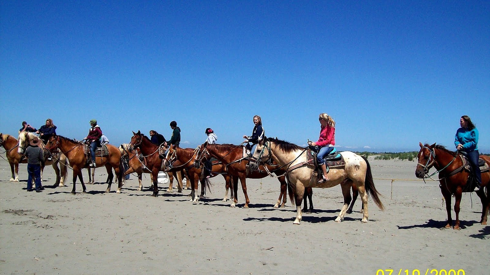 Horseback Riding In Ocean Shores Horse Choices