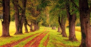 B2 essay topics picture