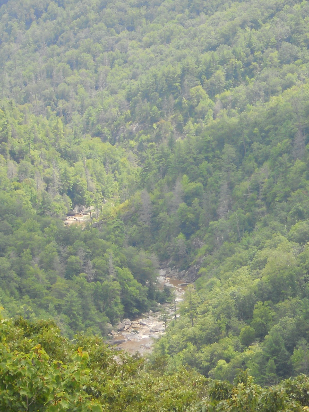 Hiking with a Fat Bald White Guy: Linville Gorge - Devils Cliff