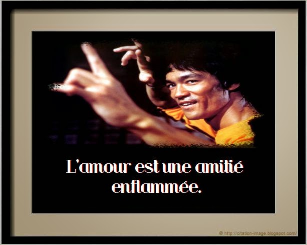 Citation bruce lee amour Citation bruce lee amour