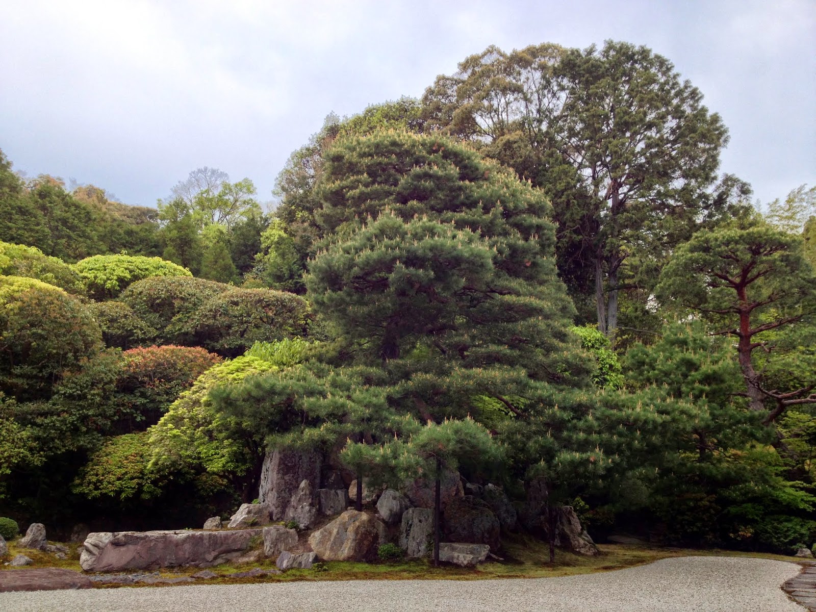 Chaos and Kanji: Kyoto: Konchi-in Temple Gardens