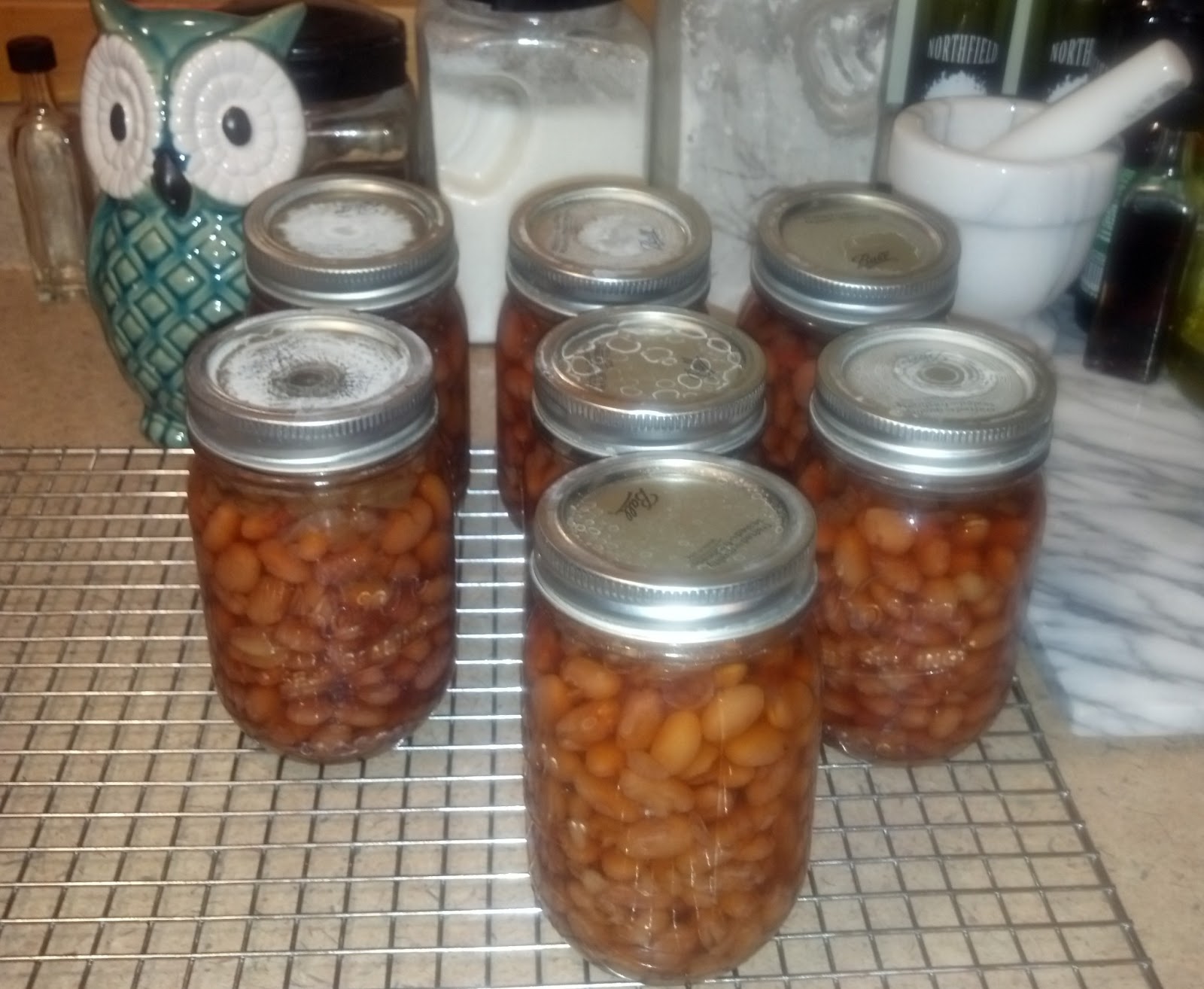 This, That and the Other Thing by Nisan Canning BBQ Beans