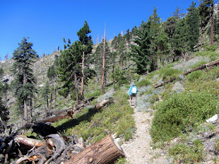 View southwest toward Islip Ridge from Big Cienega Trail, Crystal Lake, Angeles National Forest