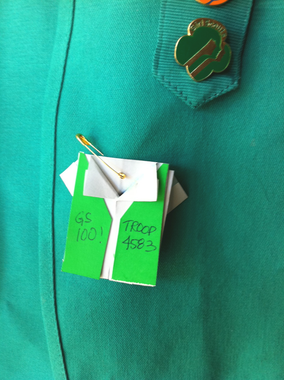 Lemon & Wildwood Girl Scout Swaps