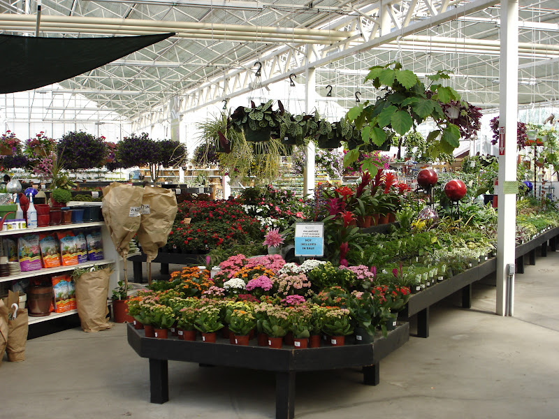 The Outlaw Gardener Watson's Nursery Tent Sale