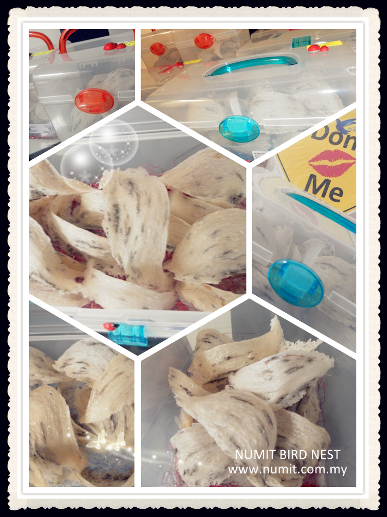 NUMIT Bird Nest 浓密燕窝 BIRD's NEST ORIGINATED FROM TAIPING, MALAYSIA