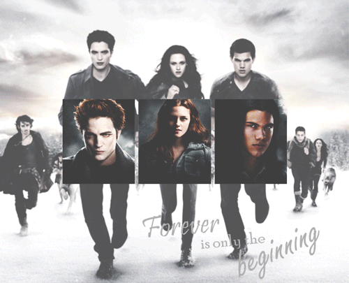 Twilight Forever 2008 - 2012