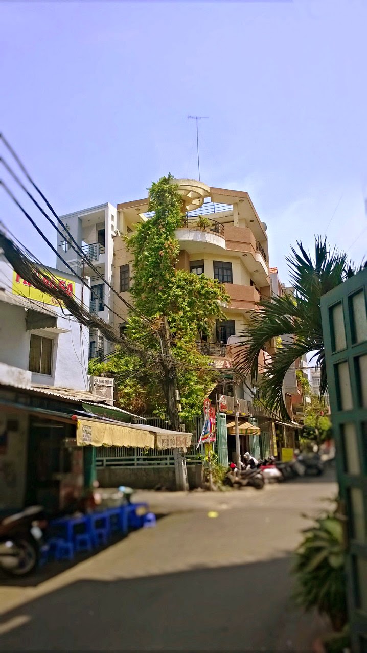 Giải pháp trông cây xanh chống nắng cho nhà phố