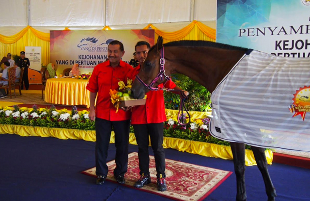Kejohanan Kuda Lasak Piala Yang Dipertuan Muda Terengganu 2016 1