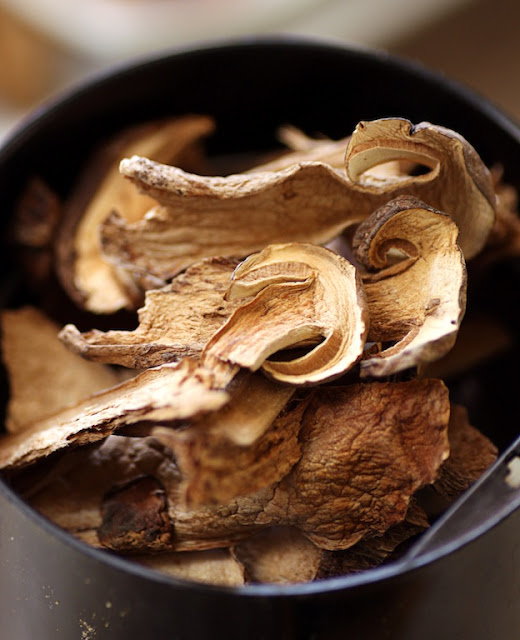 There's a Newf in My Soup! Reviving Traditions with Mario Batali's