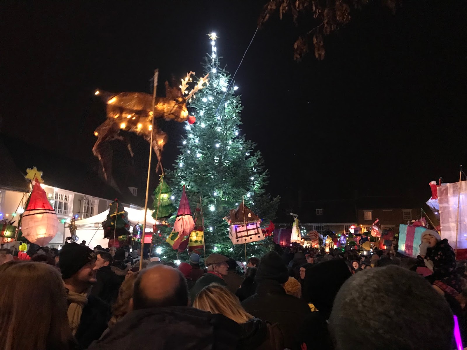 Narrow Boat Albert Stony Stratford Christmas Lights 2017